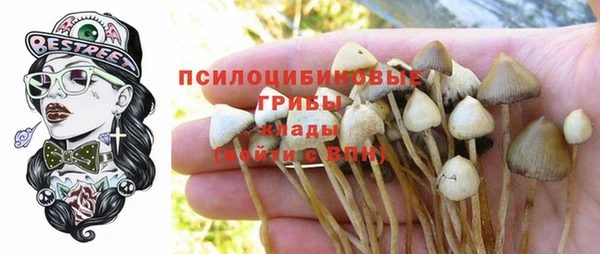 ECSTASY Армянск