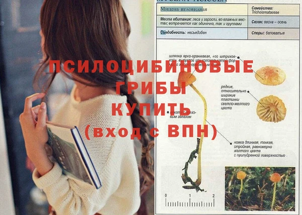 каннабис Аркадак