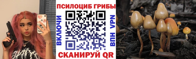 Галлюциногенные грибы Psilocybe Навашино